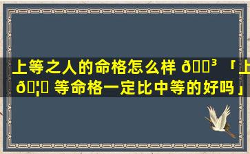 上等之人的命格怎么样 🌳 「上 🦅 等命格一定比中等的好吗」